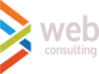 web consulting
